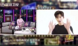 网友爆料吃货视频,吃货视频带你领略美食世界