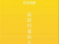 吃瓜选秀视频下载免费,免费下载热门选秀视频，尽享视听盛宴