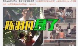 陈勇士爆料人是谁啊视频,真相背后的神秘面纱