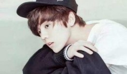 头号爆料王源鹿晗视频,幕后真相令人震惊！