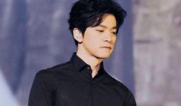 庞龙爆料李健视频完整版,视频完整版深度解析