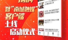 东莞南城新闻爆料热线,见证城市脉搏，倾听民声心声