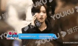 狗仔爆料范姓明星视频,狗仔爆料引发热议