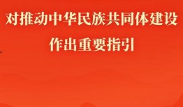 新闻共同体爆料怎么写标题,揭秘事件背后真相
