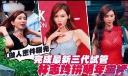 爆料台湾林志玲事件视频,真相与争议再掀波澜