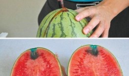 吃瓜免费澳门,澳门等你来尝鲜！