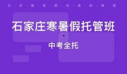 石家庄托管爆料事件视频,揭露校园安全隐患与教育监管困境