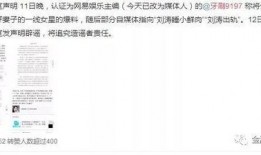 网易娱乐主编爆料,娱乐圈内幕大揭秘