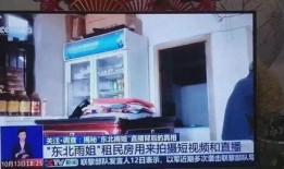 央视新闻爆料东北雨姐,央视新闻揭秘网络红人的崛起之路