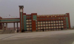 方城一高高三最新爆料,揭秘学霸养成记与备考秘籍