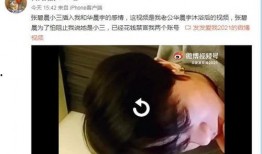 华晨宇被爆料整容视频在线观看,揭秘明星整形真相