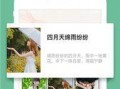 搞笑吃瓜软件下载安装免费,瓜果飘香！免费下载搞笑吃瓜神器，开启欢乐无限之旅