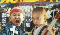 电影功夫小龙在线观看,热血青春，武术传奇