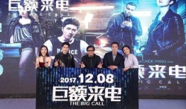 巨额来电 在线观看,揭秘电信诈骗背后的惊心动魄