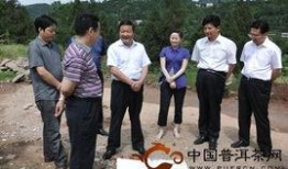 罗村爆料新闻,揭秘事件背后真相