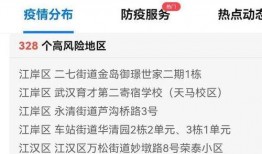 武汉爆料最新消息疫情,追踪病毒变异与防控措施动态