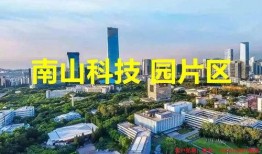 南山科技园最新爆料,揭秘未来科技生态圈发展蓝图