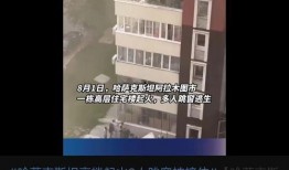 泰安核酸爆料事件视频播放,真相与争议交织