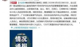 重庆刘先生最新爆料事件,揭秘事件背后惊人真相