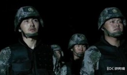 兵王全集在线观看,热血征程，铁血传奇