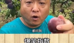 爆料带货的搞笑视频,笑料百出！揭秘爆款搞笑视频背后的带货秘密