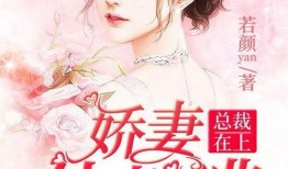 总裁在上在线观看免费