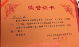 援鄂医疗队爆料新闻稿,战“疫”一线的生死坚守与感人瞬间