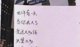 甜蜜橘最新爆料文案短句,揭秘明星幕后故事