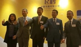 飞鹤最新爆料新闻