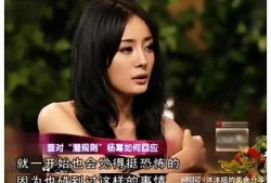 娱乐圈明星被爆料,真相与谣言的交织