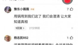 豫东小老弟爆料丹丹视频,丹丹视频背后的惊人真相