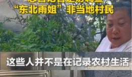 央视新闻爆料东北雨姐,央视新闻揭秘网络红人的崛起之路