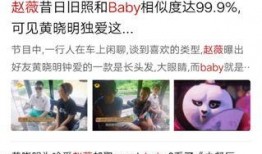 扒叔娱记爆料视频大全下载,视频大全下载全攻略揭秘