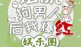 娱乐爆料长篇小说,揭秘明星背后的秘密