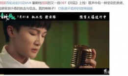 顶流男歌手爆料视频