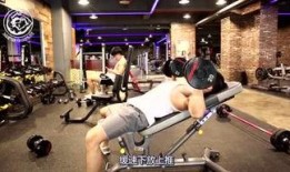 健身训练营爆料案例视频,汗水与蜕变背后的故事