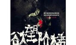 欲望的阶梯在线观看,揭秘人性欲望的层层递进