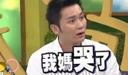 李晨母亲爆料视频大全,揭秘明星家庭背后的真实故事