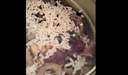 小贝爆料的藕粉视频大全,藕粉视频大全大放送
