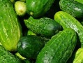 黄瓜农药爆料视频下载大全