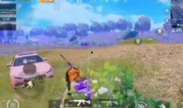 快乐吃瓜游戏在线玩免费,免费在线玩“快乐吃瓜”游戏，开启欢乐之旅