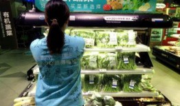 日料店生腌爆料视频播放,独家爆料视频大公开