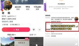 老陈最新爆料消息视频,最新爆料视频深度解析