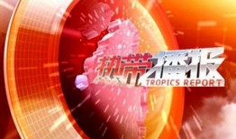 热带播报在线观看直播,实时掌握热带风情，畅享在线观看盛宴
