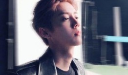 吃瓜娱乐圈鹿晗是谁