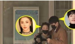 女星离婚爆料视频播放,女星离婚内幕，独家视频曝光引发热议