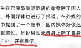 凶杀案爆料范文最新版本,最新爆料范文深度剖析