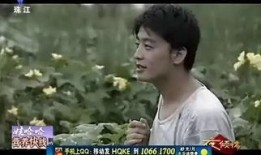 夜挑情手机在线观看,激情四溢的都市爱情悬疑之旅