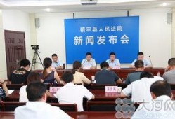 镇平新闻爆料事件最新,最新事件追踪，真相渐明
