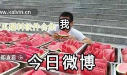 免费最新吃瓜爆料,娱乐圈风云再起，揭秘明星幕后故事